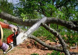 Best Lawn Watering Services  in Havelock, NC